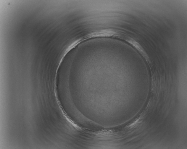 X0000056350850200509021720