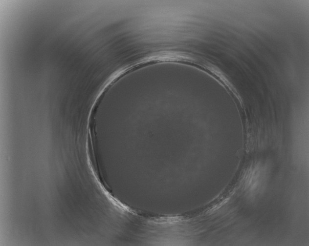 X0000056350853200509021720