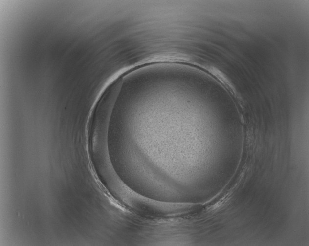 X0000056350854200509021720