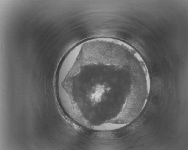 X0000056350856200509021720