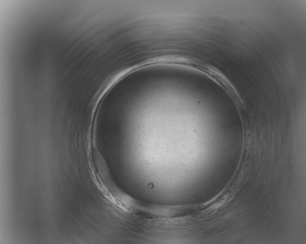 X0000056350860200509021720