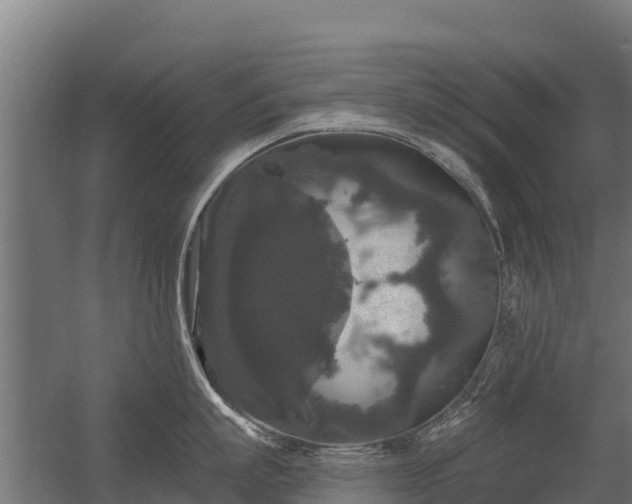 X0000056350863200509021720