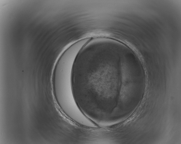 X0000056350864200509021720