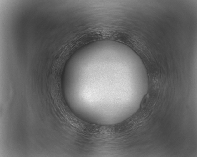 X0000056350865200509021719