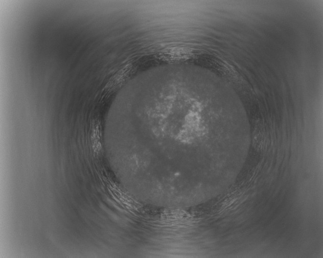 X0000056350866200509021719