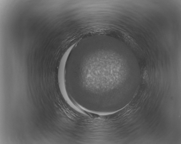 X0000056350868200509021719