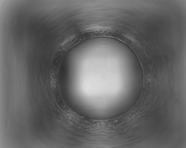 X0000056350869200509021719