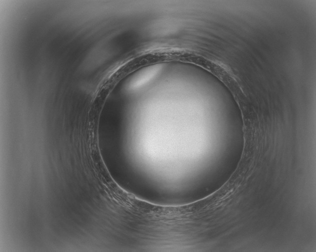 X0000056350871200509021719