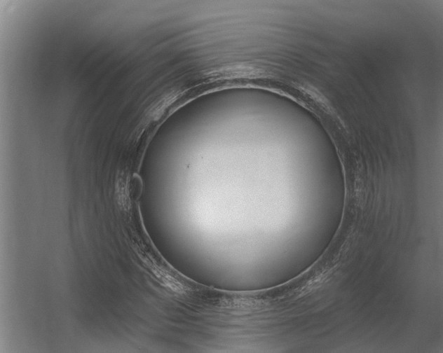 X0000056350873200509021719