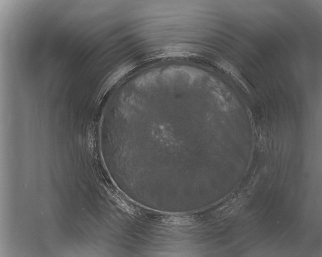 X0000056350874200509021719