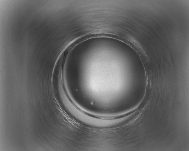 X0000056350876200509021719