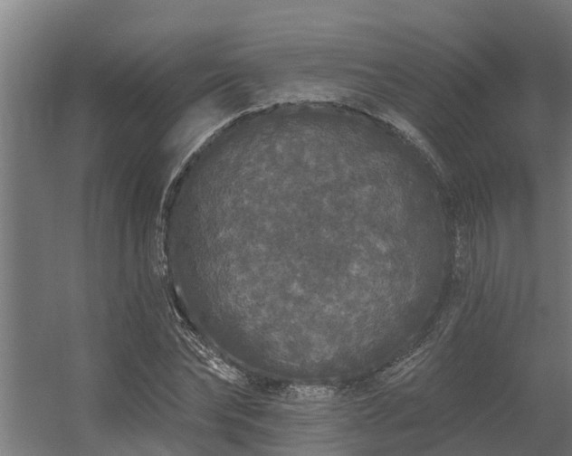 X0000056350878200509021719