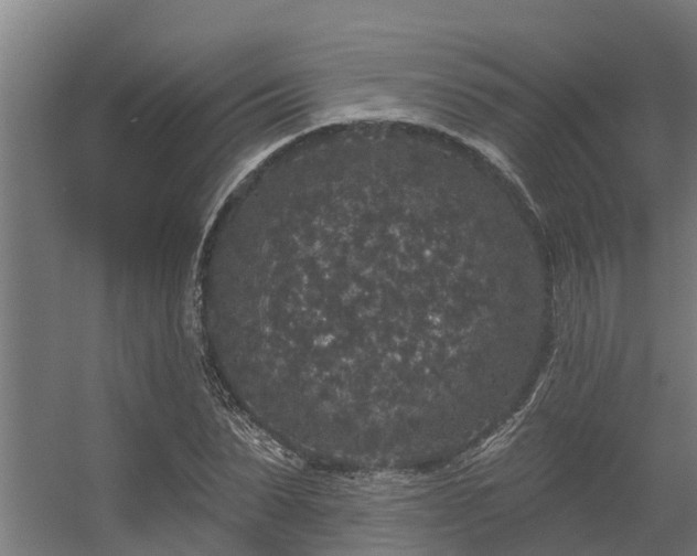 X0000056350879200509021719