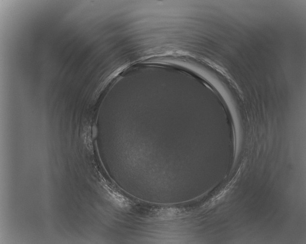 X0000056350881200509021719