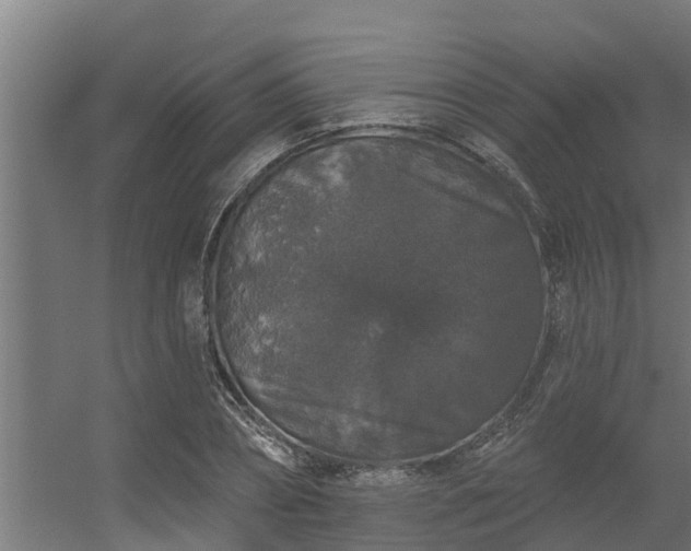 X0000056350882200509021719