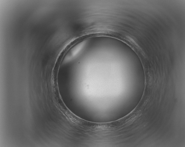 X0000056350883200509021719