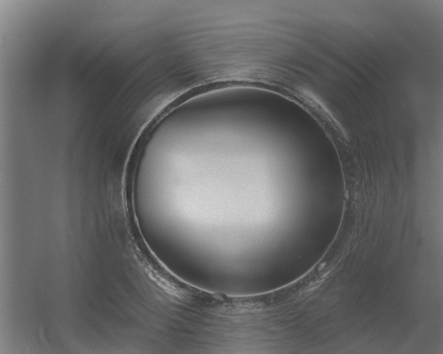 X0000056350884200509021719