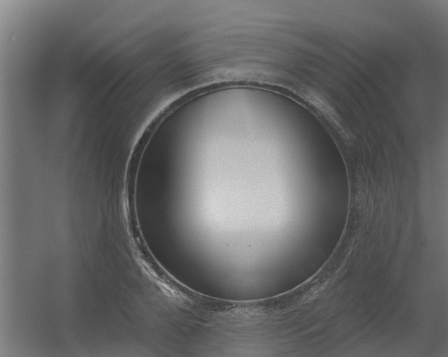 X0000056350888200509021719