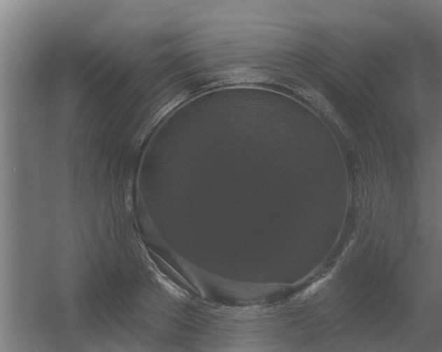 X0000056350889200509021719