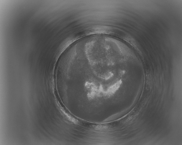 X0000056350890200509021719