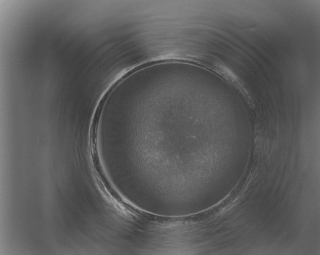 X0000056350892200509021719