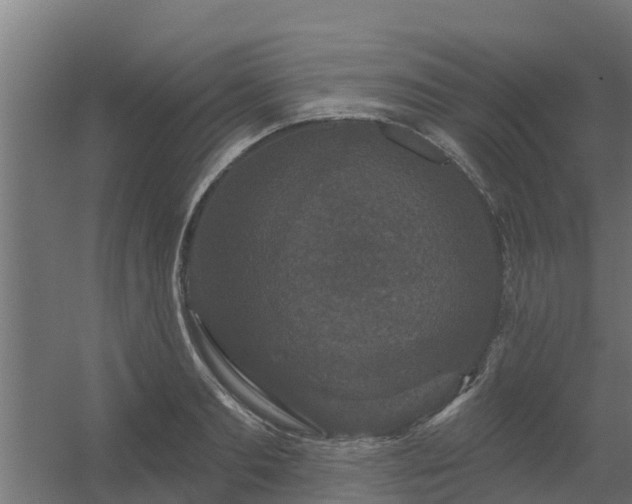 X0000056350893200509021719