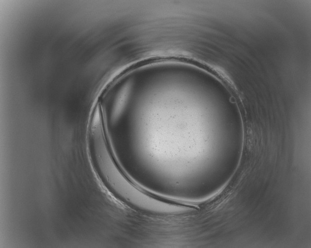 X0000056350895200509021719