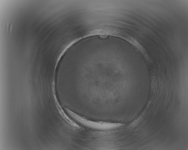 X0000056350896200509021719