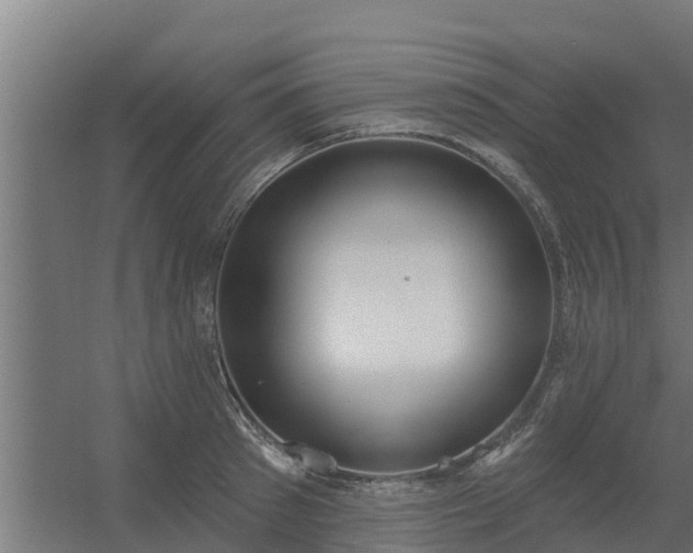 X0000056350897200509021719