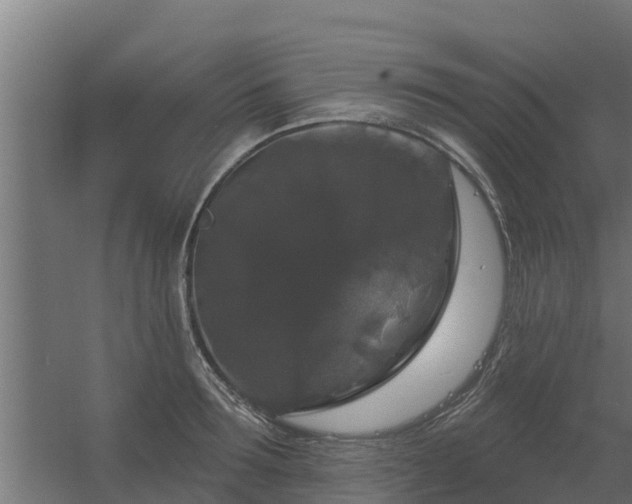 X0000056350899200509021719