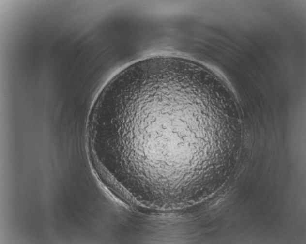 X0000056350903200509021719