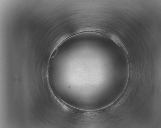 X0000056350906200509021718