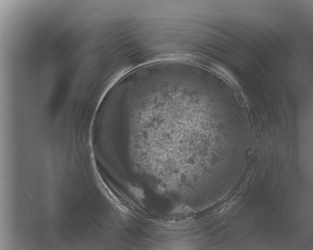 X0000056350907200509021718