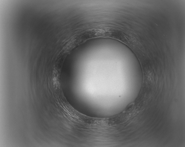 X0000056350914200509021718