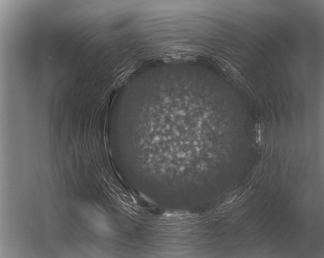 X0000056350915200509021718