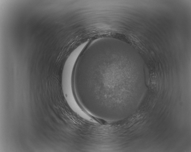 X0000056350916200509021718