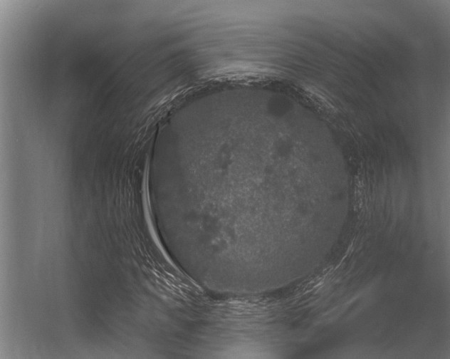 X0000056350917200509021718