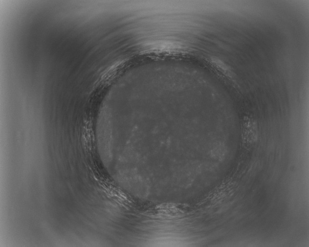 X0000056350918200509021718