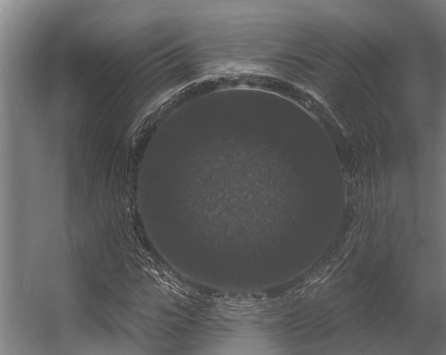 X0000056350919200509021718