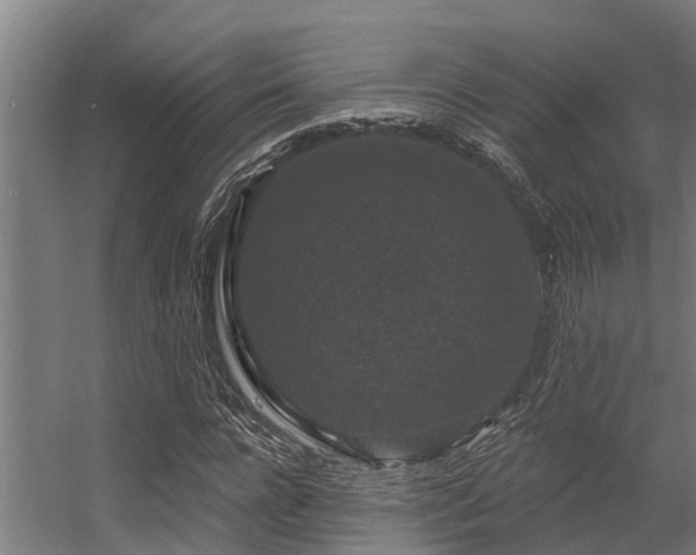 X0000056350920200509021718