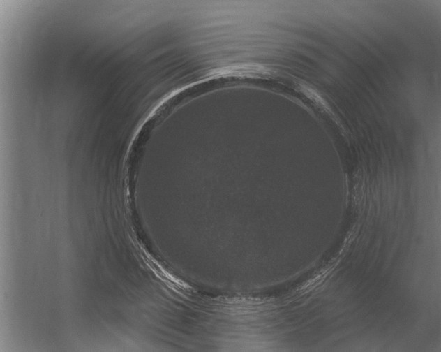 X0000056350923200509021718