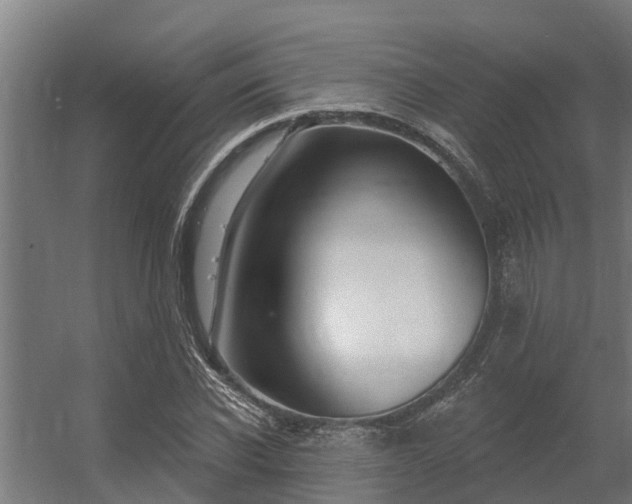 X0000056350926200509021718