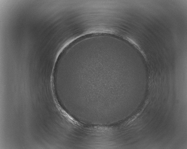 X0000056350928200509021718