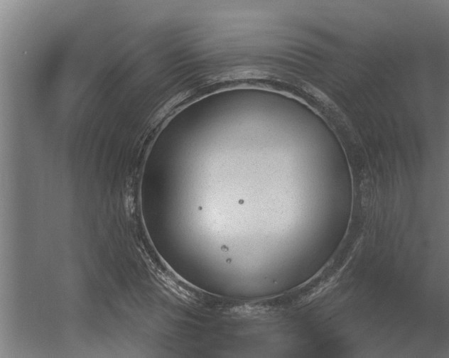 X0000056350929200509021718