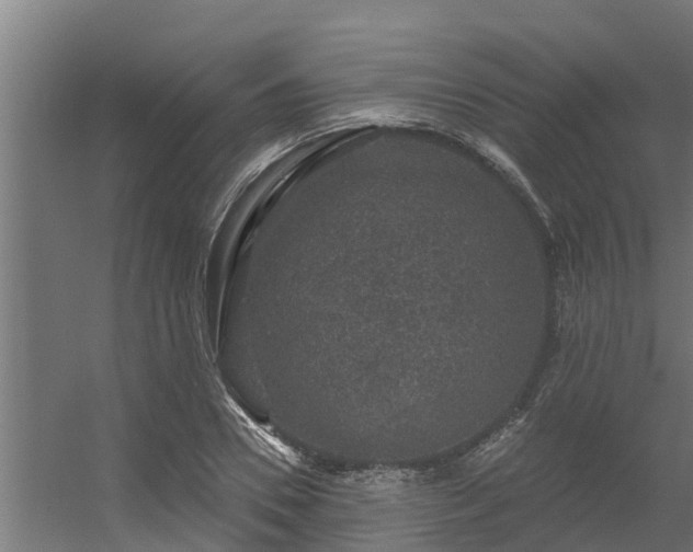 X0000056350930200509021718