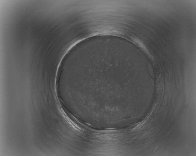 X0000056350932200509021718