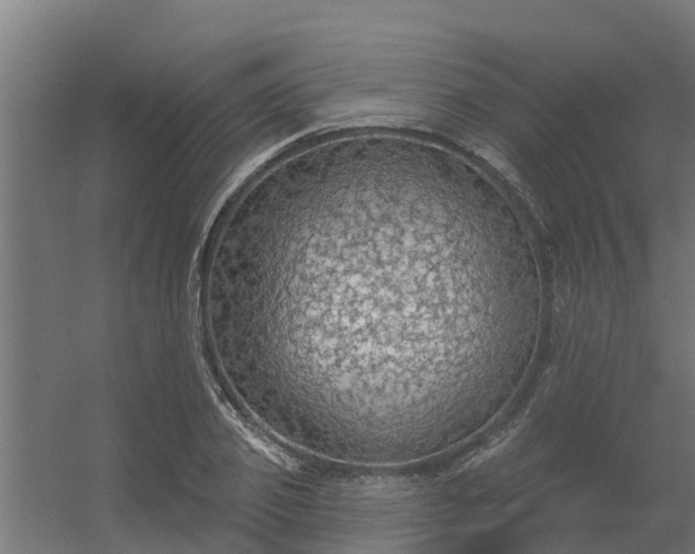 X0000056350933200509021718