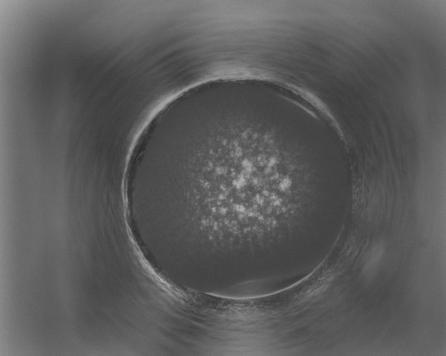 X0000056350935200509021718