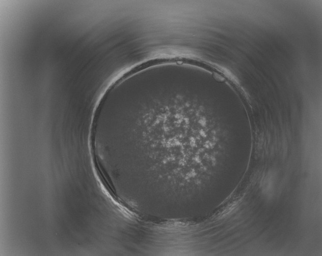 X0000056350943200509021718