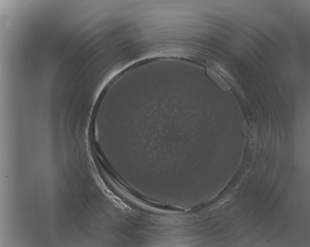 X0000056350944200509021718